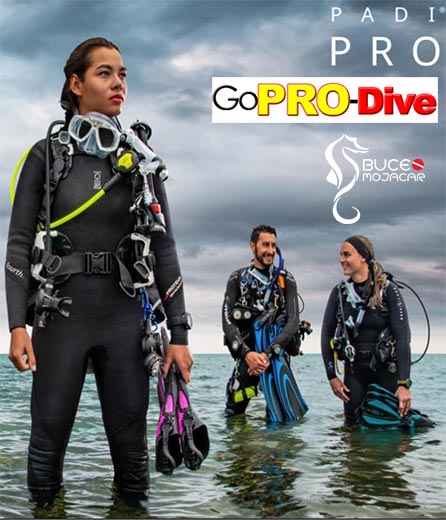 Curso de Instructor de Buceo PADI