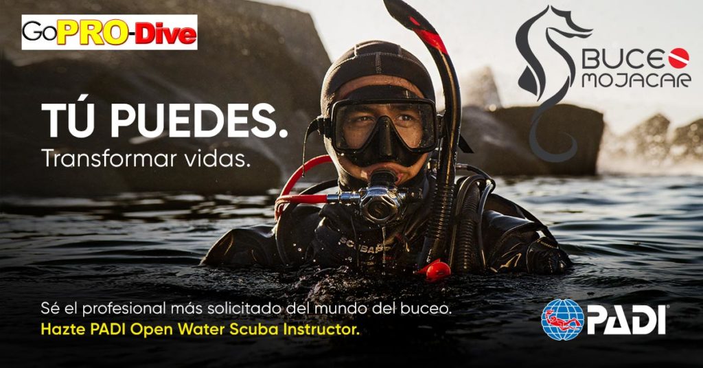 Tu puedes ser Instructor de Buceo PADI