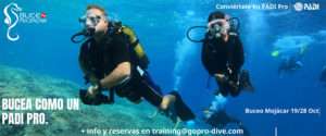 Curso de Instructor de Buceo