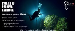 Oferta de curso de Instructor de Buceo recomendado