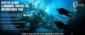 Becas de Buceo y programa de Internship