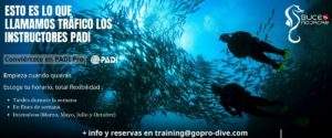 Becas de Buceo y programa de Internship