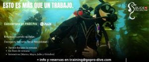 Conviértete en PADI Pro