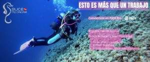 Curso IDC PADI flexible