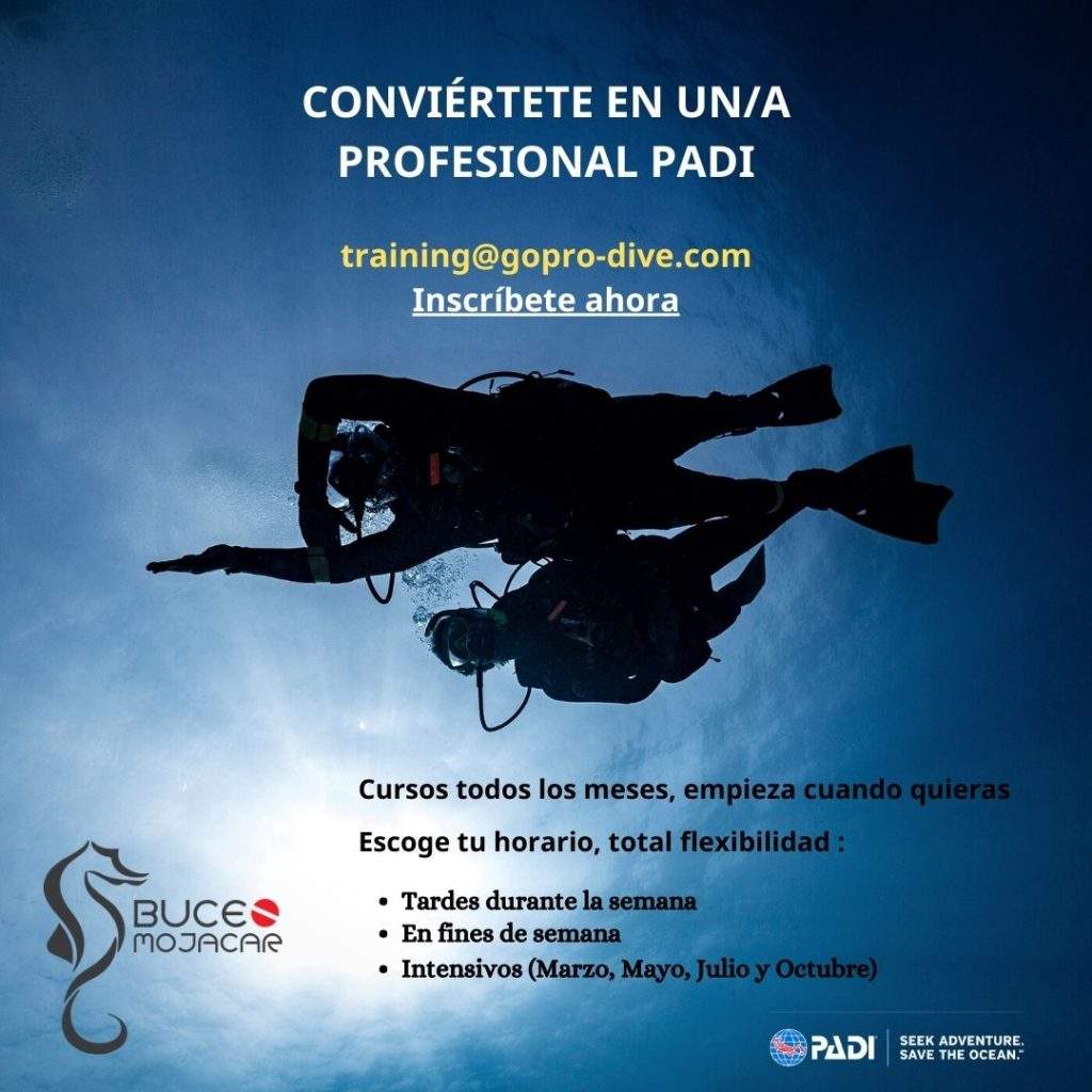 Curso instructor de buceo PADI