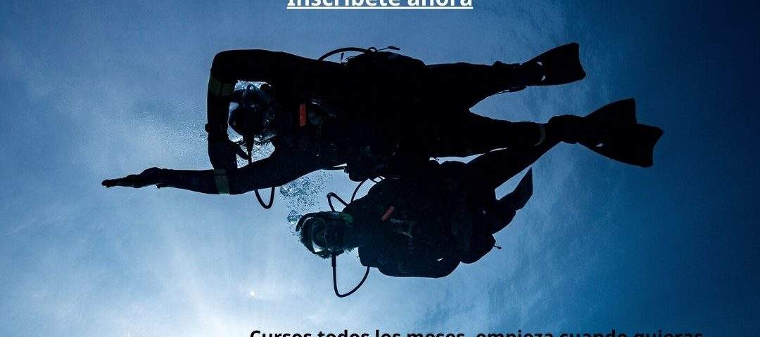 Curso instructor de buceo PADI