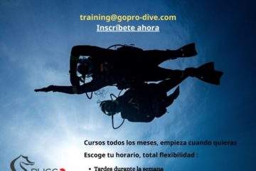 Curso instructor de buceo PADI