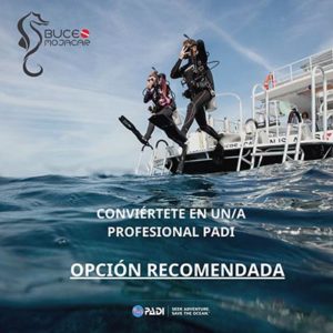 Curso de instructor de buceo recomendado