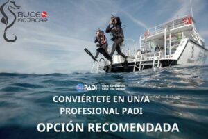 Curso de instructor de buceo PADI Recomendado