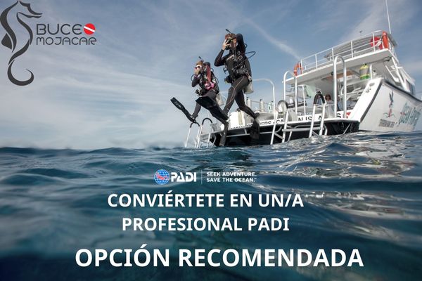 Curso de instructor de buceo PADI Recomendado